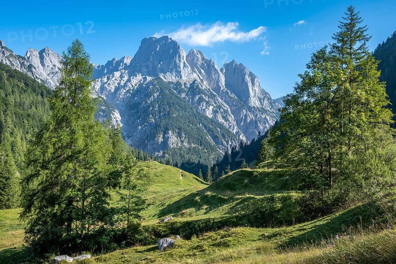View from Bindalm to the peaks of the Reither Alm with Stadelhorn and Mühlsturzhorn, Berchtesgaden National Park, Bavarian Alps, Germany