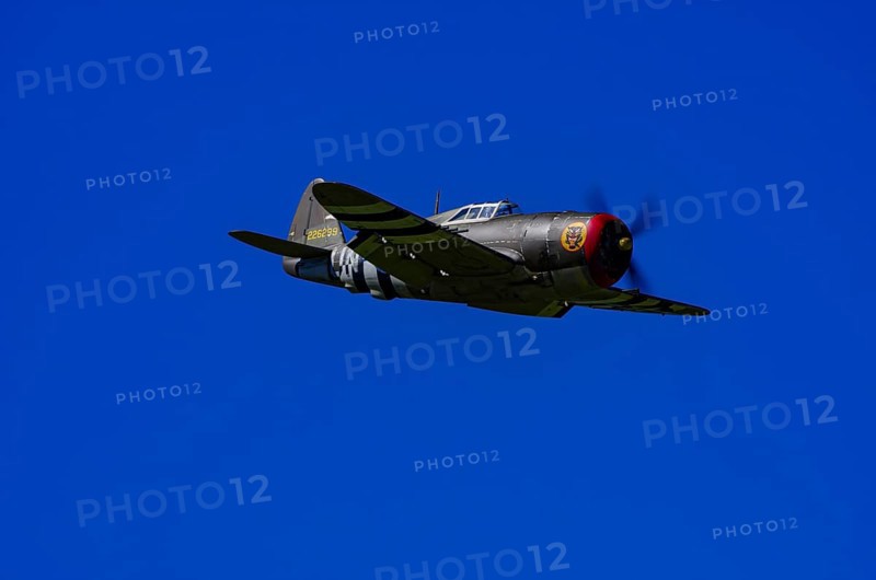 An RC model of a Republic P-47 Thunderbolt during a demonstration as part of an air show at the Fliegerbergfest of the Rossfeld Luftsportverein in Metzingen-Glems, Baden-Württemberg, Germany, for editorial use only