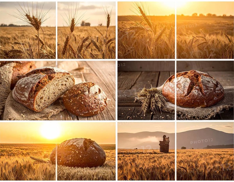 Collage of rustic loaf of whole grain bread, bread on dark rustic wooden table, great variety of grain and whole wheat bread, illustration wallpaper for bakery and healthy food lifestyle, AI generated