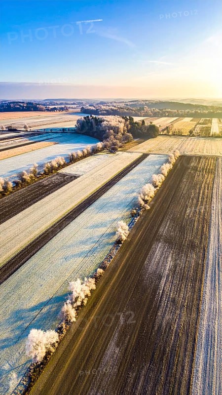 Bird Eye Perspective of Frost Covered Farmland. Seasonal Agricultural Scenery, winter and autumn scene, blue sky with golden light at sunrise, AI generated