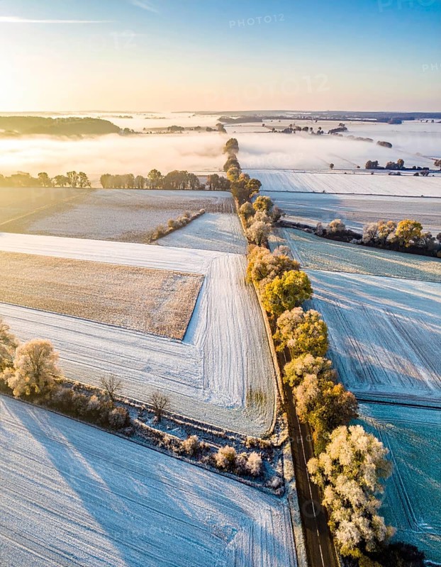 Bird Eye Perspective of Frost Covered Farmland. Seasonal Agricultural Scenery, winter and autumn scene, blue sky with golden light at sunrise, AI generated