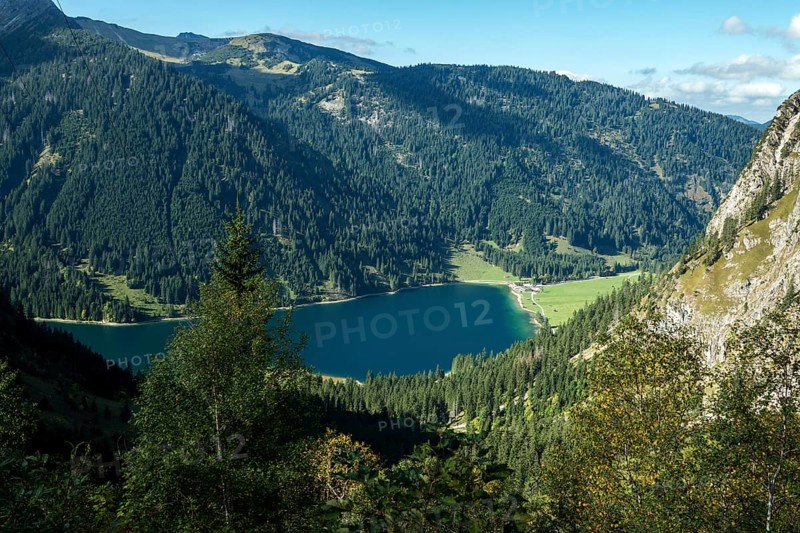 View of Vilsalpsee, Allgäu Alps, Tannheim, Tannheimer Tal, Tyrol, Austria