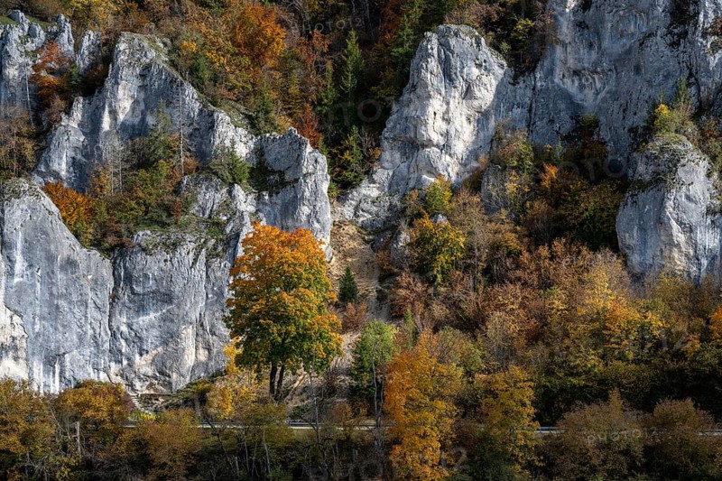 Distinctive Jurassic limestone cliffs in the upper Danube Valley, surrounded by autumn vegetation, Sigmaringen district, Baden-Württemberg, Germany