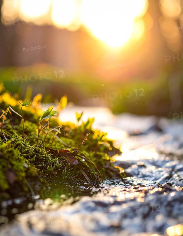 Beautiful spring detailed stream of fresh water, vibrant blooming young green plants, wallpaper banner for springtime and summer nature concept, AI generated