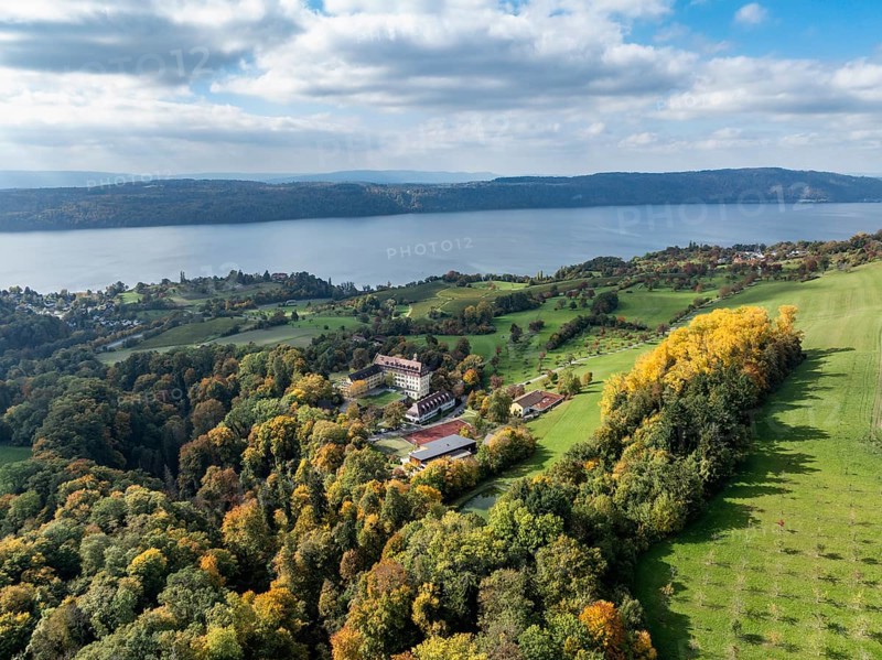 Aerial view of Lake Constance, Überlinger See, surrounded by autumn vegetation with Spetzgart Castle, Salem International College, Bodanrück on the horizon, Lake Constance District, Baden-Württemberg, Germany