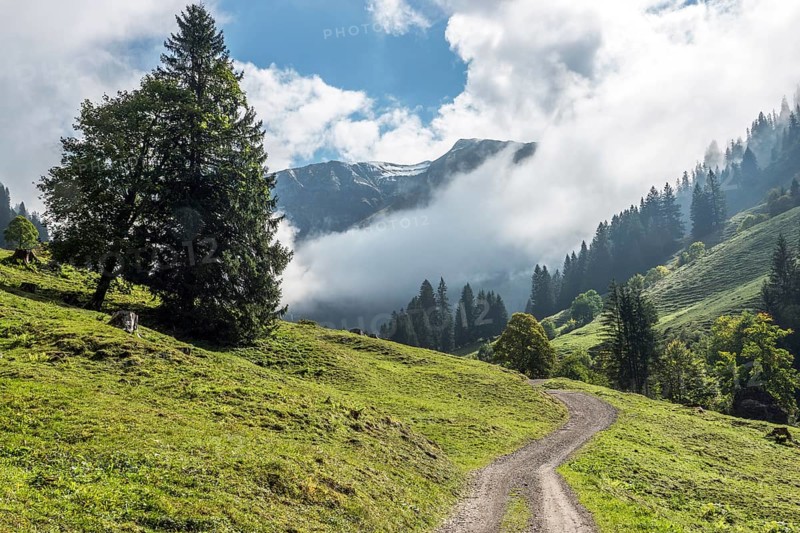 Hiking trail in the Dietersbachtal from Gerstruben to Alpe Dietersbach, Nebelschwanden hang in the valley, Oberstdorf, Allgäu Alps, Oberallgäu, Bavaria, Germany