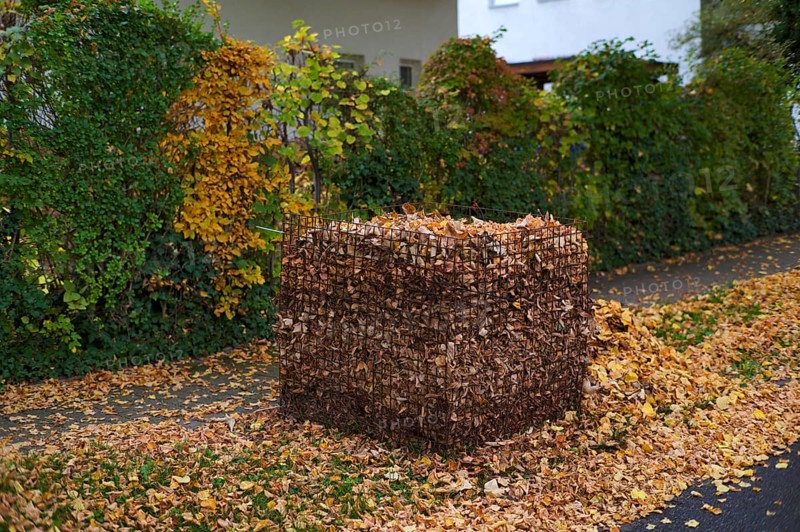 Public collection container, leaf basket, steel mesh compost basket, for collecting autumn leaves, leaves, overfilled, full, leaves, autumn, autumn, residential area, Stuttgart, Baden-Württemberg, Germany