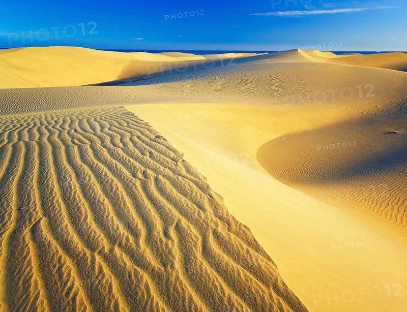 Sand dunes, Maspalomas, Playa del Ingles, Gran Canaria, Canary Islands, Spain