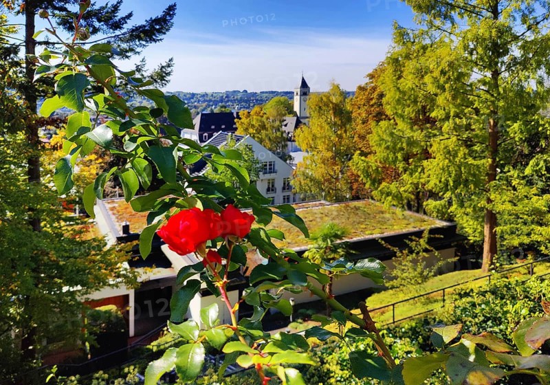 Konrad Adenauer House, view from the garden of St. Mary's Church, Stiftung Bundeskanzler-Adenauer-Haus, Rhöndorf, Bad Honnef, North Rhine-Westphalia, Germany
