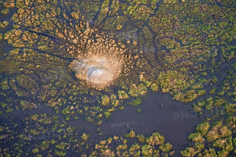 Freshwater marshland, swamp landscape with small island with termite hill, aerial view, Okavango Delta, Botswana