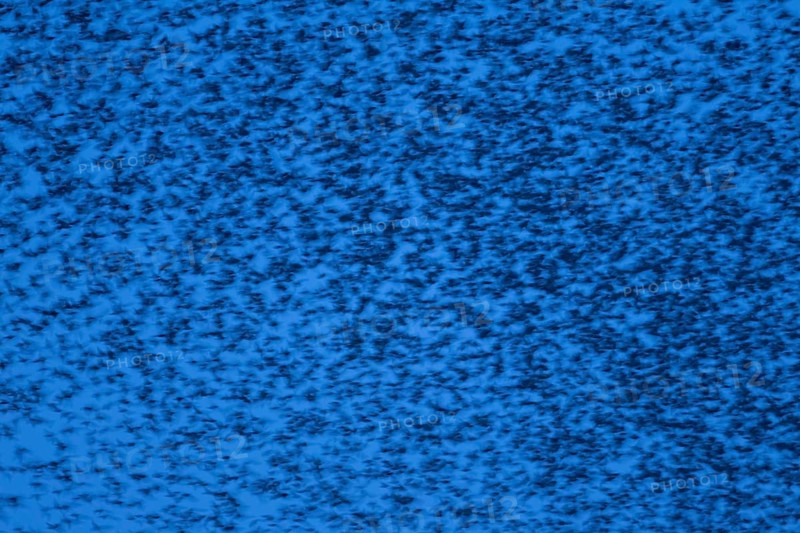 Eurasian starling (Sturnus vulgaris) adult birds flying in a flock in a murmuration at sunset in winter - slow motion blur image, England, United Kingdom
