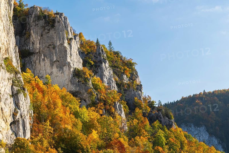 Rock face with mixed forest in autumn colours, limestone rock, autumn, Schaufelsen Donautal, Naturpark Obere Donau, Baden-Württemberg, Germany
