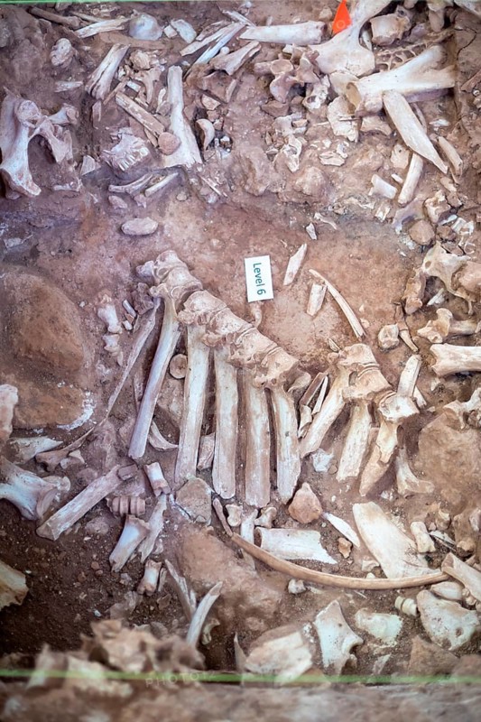 Beulah, Wyoming - The Vore Buffalo Jump, a sinkhole used by Plains Indians as a trap for bison from about 1550 through 1800. Archaeologists have uncovered thousands of bones, though only about 10 percent of the site has been excavated