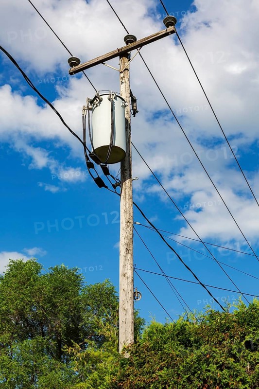 Electricity transformer, high voltage transmission wires, internet, telephone cables attached to wooden utility pole in Thuja - Cedar hedge, Quebec, Canada