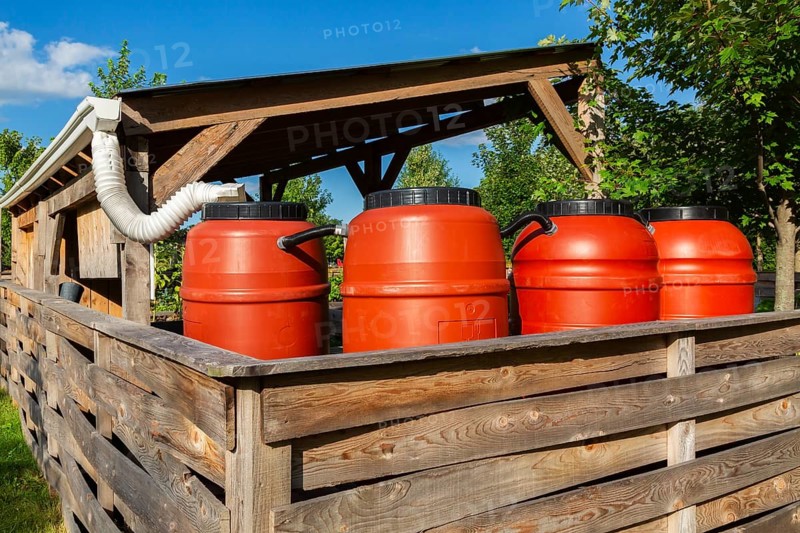 Reddish brown plastic water butts collecting and storing rain water from white plastic downspout in community garden enclosure in summer, Quebec, Canada
