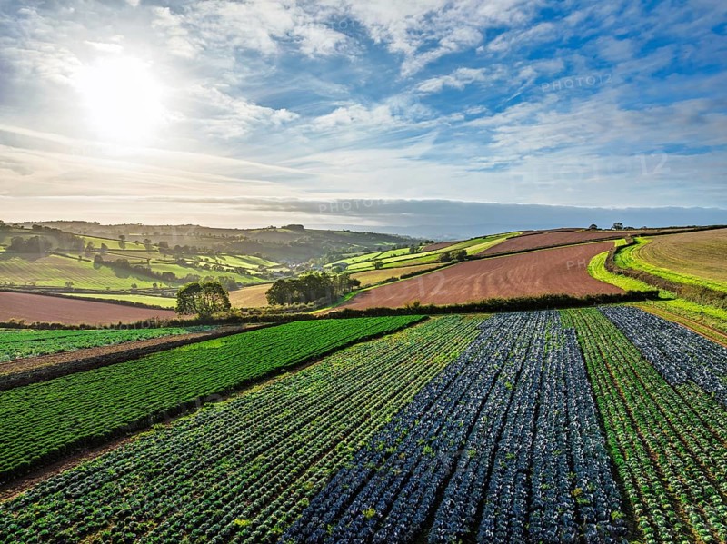 Fields and Farms at evening sun from a drone, Shaldon, Torquay, Devon, England, United Kingdom