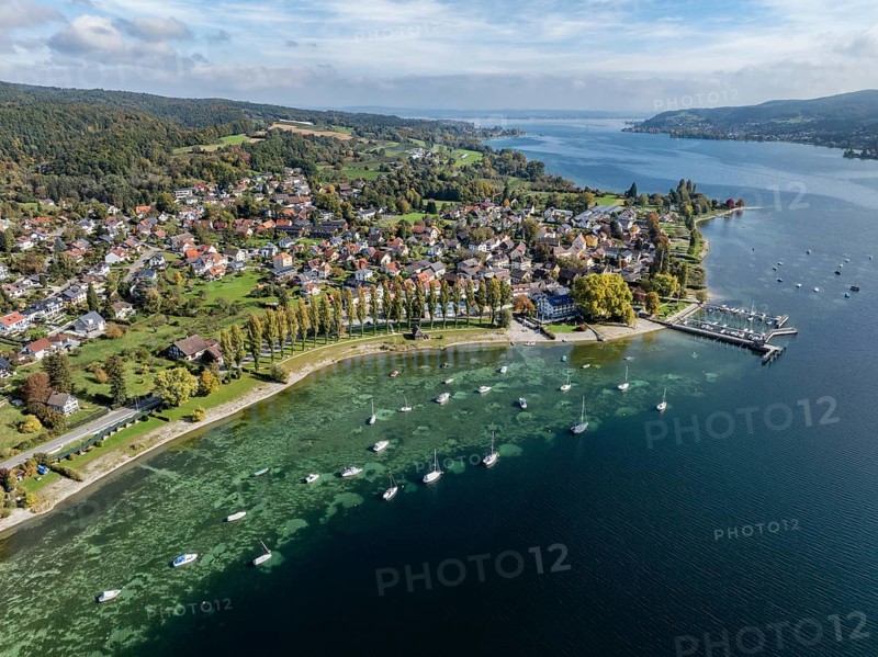 Aerial view of the village of Wangen on the Höri peninsula with boat moorings and jetty on the lakeshore, Lake Rhine, Lake Constance, Constance district, Baden-Württemberg, Germany