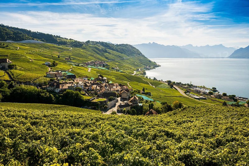 Picturesque village in the vineyards by the lake, Epesses, Lavaux, UNESCO World Heritage Site, Lake Geneva, Lac Léman, Canton of Vaud, Switzerland