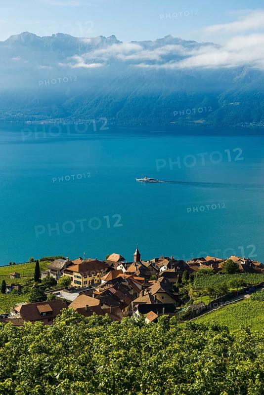 Picturesque village in the vineyards by the lake, Rivaz, Lavaux, UNESCO World Heritage Site, Lake Geneva, Lac Léman, Canton of Vaud, Switzerland