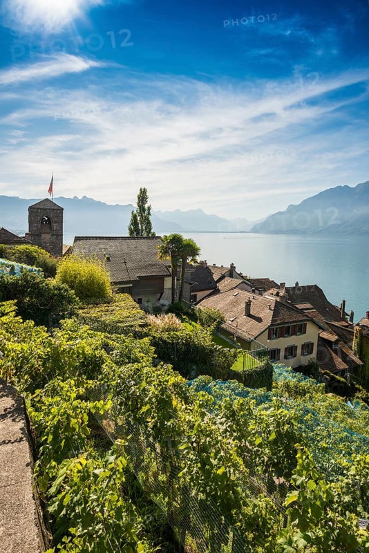 Picturesque village in the vineyards by the lake, Saint-Saphorin, Lavaux, UNESCO World Heritage Site, Lake Geneva, Lac Léman, Canton of Vaud, Switzerland