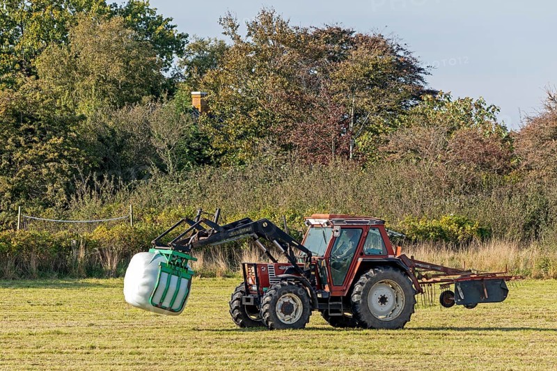 Tractor transporting bales of silage wrapped in film, Falshöft, Pommerby, Schleswig-Holstein, Germany