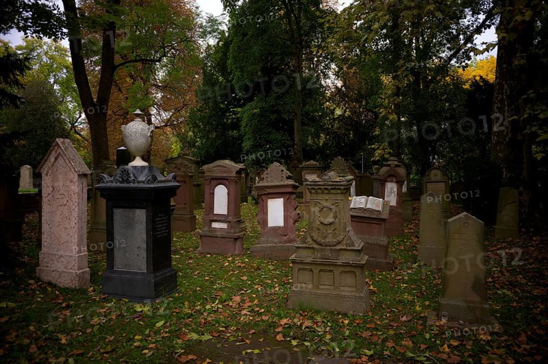Gravestones, grave, graves, Israelite, Jewish cemetery, Hoppenlauf cemetery, oldest preserved cemetery in Stuttgart, autumn leaves, autumn, autumnal, Baden-Württemberg, Germany