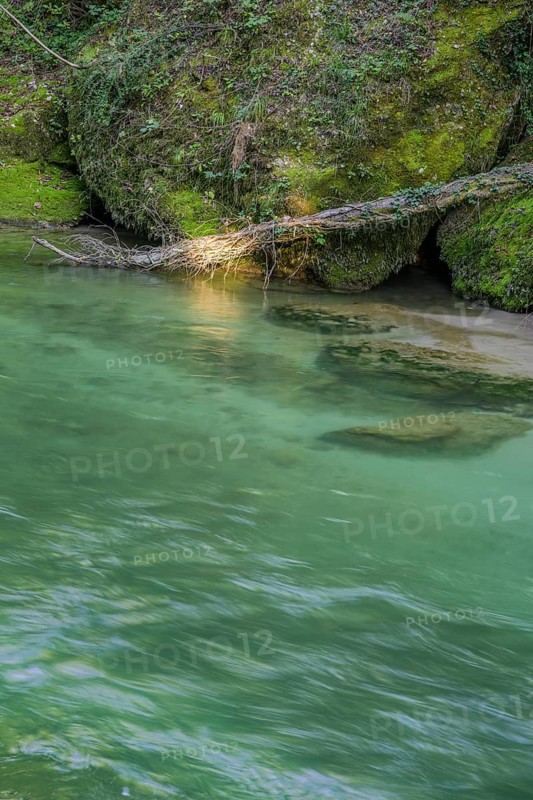 Erlauf Gorge, Purgstall an der Erlauf, Lower Austria, Austria