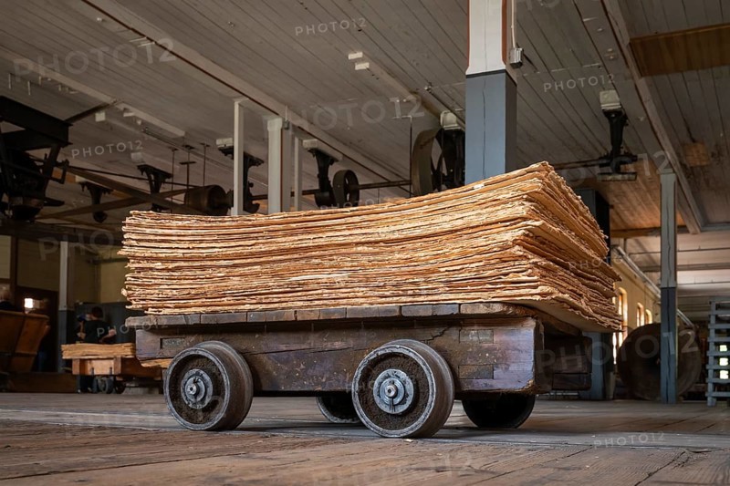 Wagon on rails for transporting cardboard, former paper factory and mill for the production of groundwood pulp board, UNESCO World Heritage Site Verla Factory Village, Maailmanperintökohde Verlan puuhiomo ja pahvitehdas, Verla Rapids, Kymenlaakso, near Kouvola, Finland