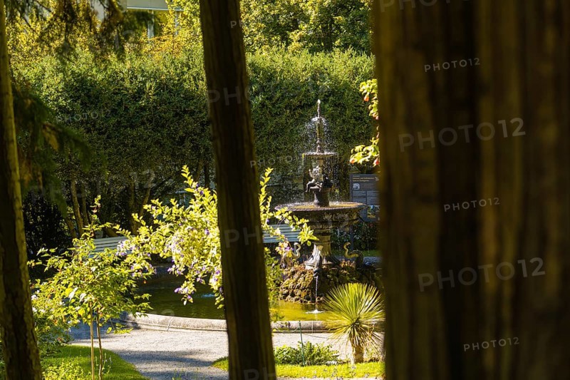 A bubbling fountain in a green garden, surrounded by trees and sunshine, Überlingen, Lake Constance, Germany