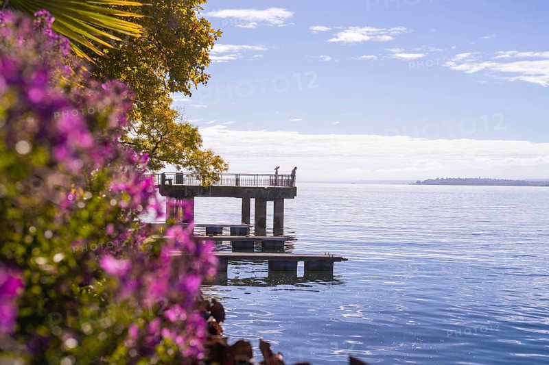 Colourful jetty by the water with flowers in the foreground and calm sky, Überlingen, Lake Constance, Germany