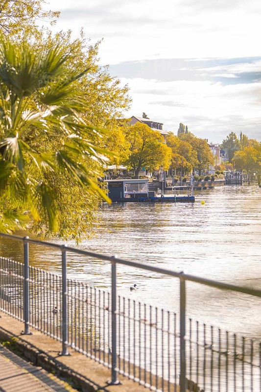 Autumnal view of a river with trees and buildings in the background, Überlingen, Lake Constance, Germany