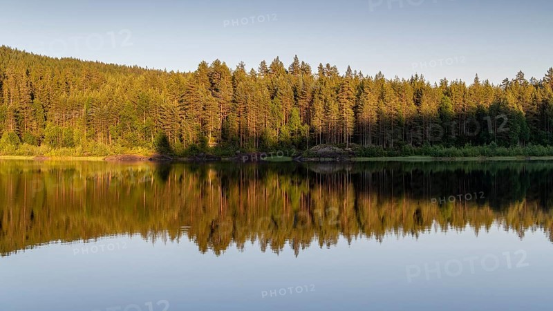 Reflecting water surface, forest lake, sunset, Akershus, Norway