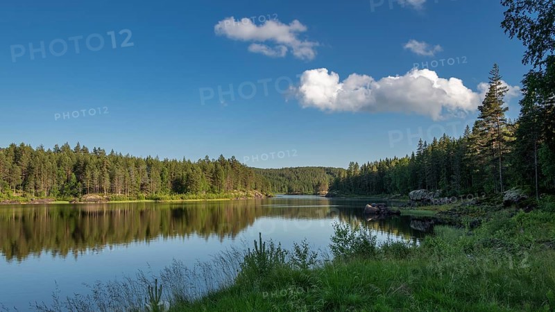 Quiet forest lake, Eidsvoll, Akershus, Norway