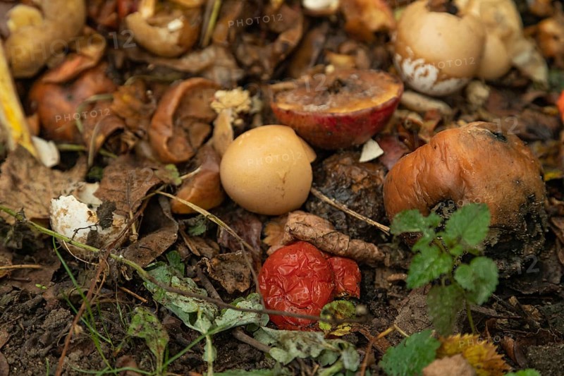 Compost pile made of organic food, leaves, vegetable and fruit Waste mix, Zero waste and Eco friendly Recycling concept
