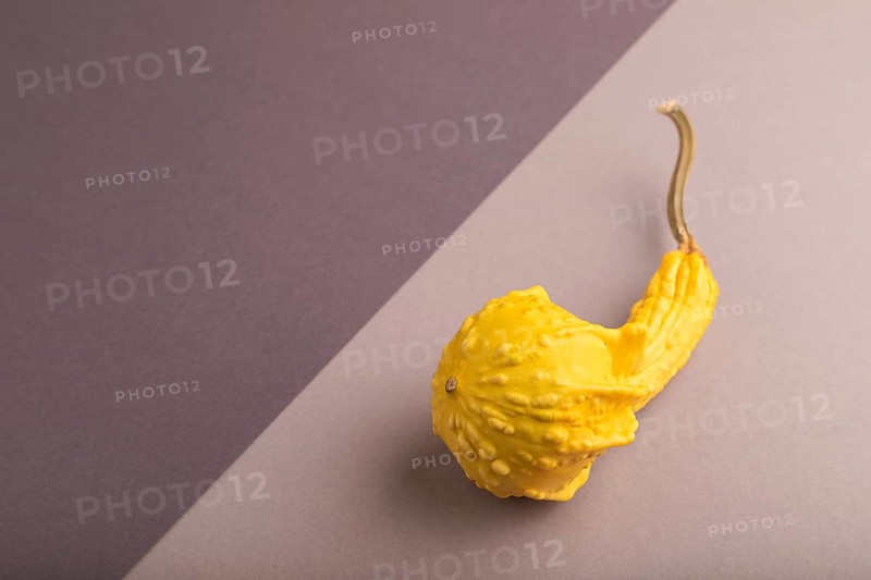 Decorative orange Pumpkin on beige and gray pastel paper background, side view, copy space, minimalism