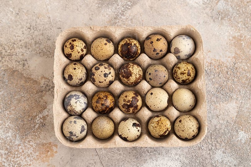 Pile of Raw Quail eggs on a brown concrete background. top view, flat lay, close up