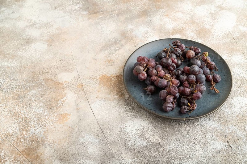 Bunches of rotten and Dry Red wine grapes on blue plate on brown concrete background, harvest, decay. Side view, copy space