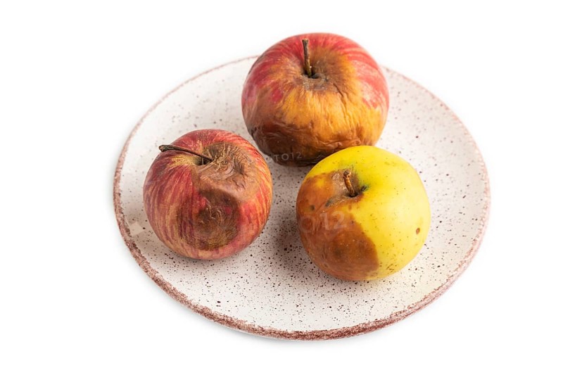 Decaying, Rotting apples on ceramic plate isolated on white background. Side view, copy space, minimalism