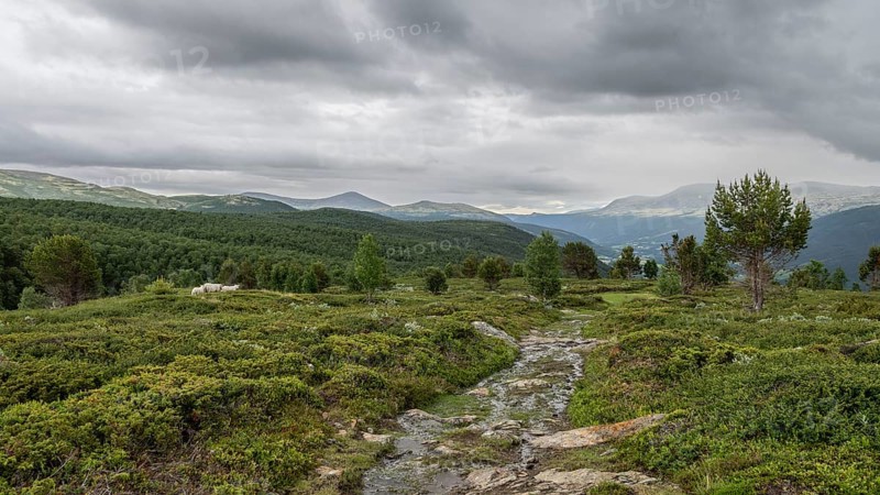 Olav's Way or Olavsleden pilgrimage route, old Kongevegen or King's Road over Dovrefjell, Norway