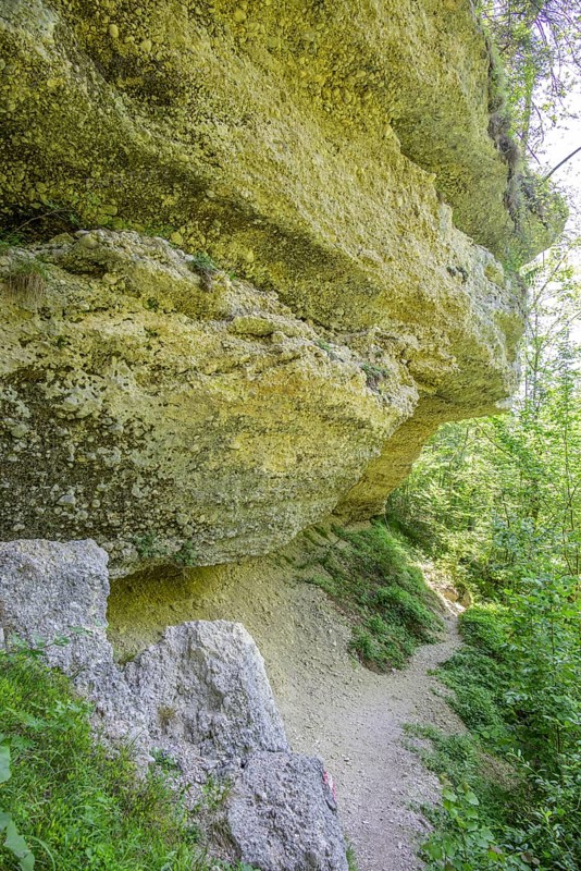 Konglomeratfelsen und Wanderweg im Naturschutzgebiet Steyr Fluss, Molln, Oberösterreich, Österreich