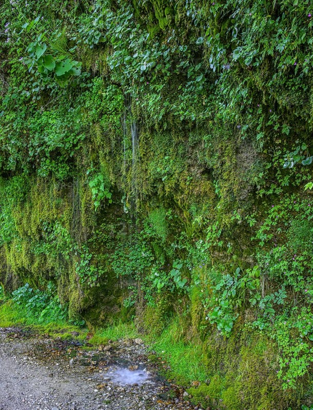 Rinnende Mauer am Steyr Fluss, Molln, Oberösterreich, Österreich