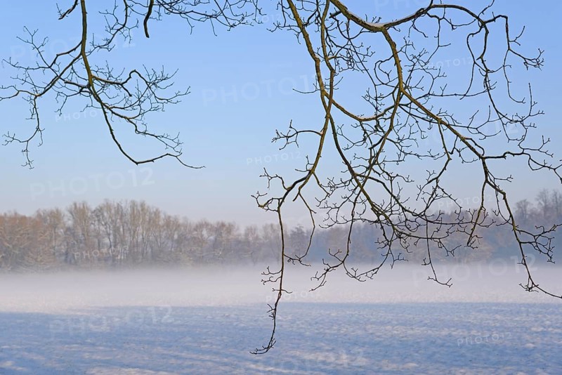Winterlandschaft, aufsteigender Bodennebel im Licht der Morgensonne, Nordrhein-Westfalen, Deutschland