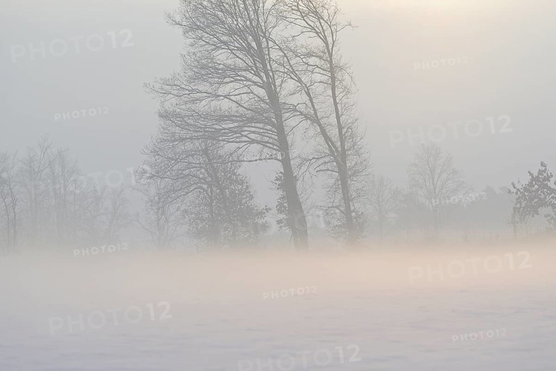 Winterlandschaft im Licht der Morgensonne, aufsteigender Bodennebel über einem Feld, Nordrhein-Westfalen, Deutschland