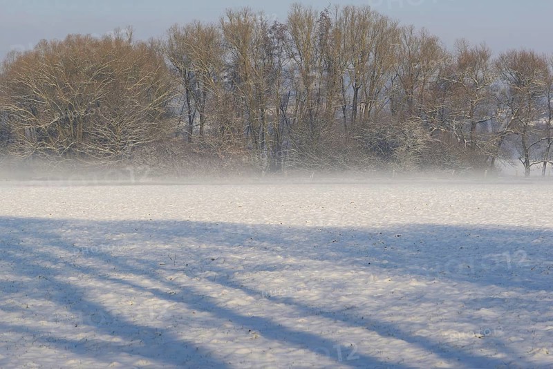 Winterlandschaft, Bodennebel steigt vor schneebedeckten Bäumen auf, Nordrhein-Westfalen, Deutschland