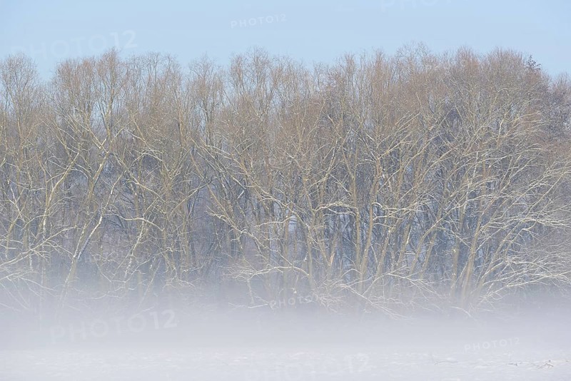 Winterlandschaft, Bodennebel steigt vor schneebedeckten Bäumen auf, blauer Himmel, Nordrhein-Westfalen, Deutschland