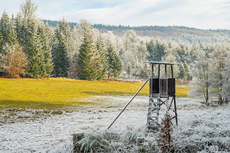 Hunting pulpit on a meadow in a valley surrounded by a mixed forest with norway spruce (Picea abies) and European beech (Fagus sylvatica) white from roarfrost, on a sunny day in winter, Bavaria, Germany