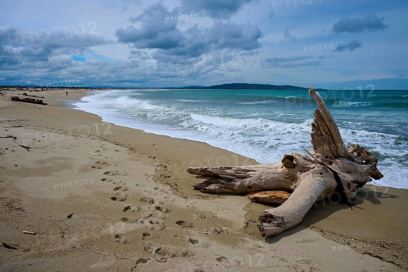 Strand mit Treibholz und Fußspuren, unberührte Küste und bewölkte Atmosphäre, Kaka Point, Clutha District, Otago, Südinsel, Neuseeland