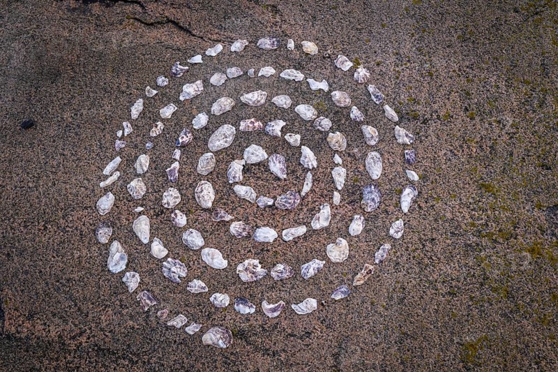 Shell mandala, circle made of shells on a granite rock, Bohus granite, Resö island, Bohuslän, Skagerrak, Sotenäs, Västra Götalands län, Sweden