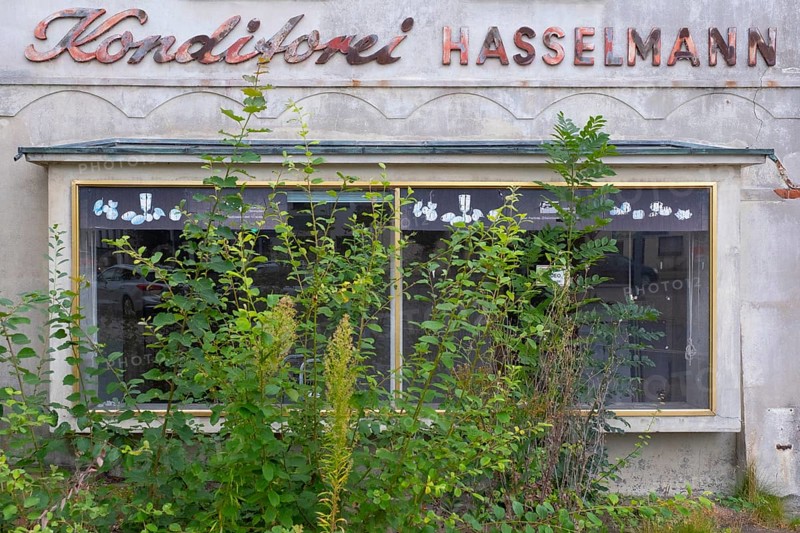 View of an overgrown shop window of an abandoned bakery, Barrien, Syke, Diepholz, Lower Saxony