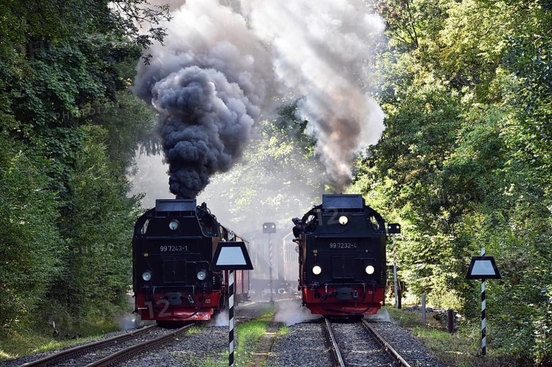 Steam locomotive, steam locomotives double exit on the Harz Narrow Gauge Railway, HSB, in the Harz Mountains near Eisfelder Talmühle, Thuringia, Germany